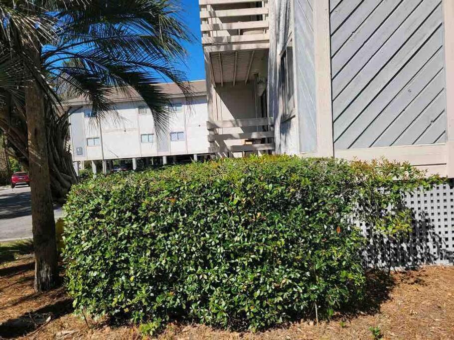 2022 Renovated 2-Bdrm Cozy, Lovely Condo W/Parking! Hilton Head Island Bagian luar foto